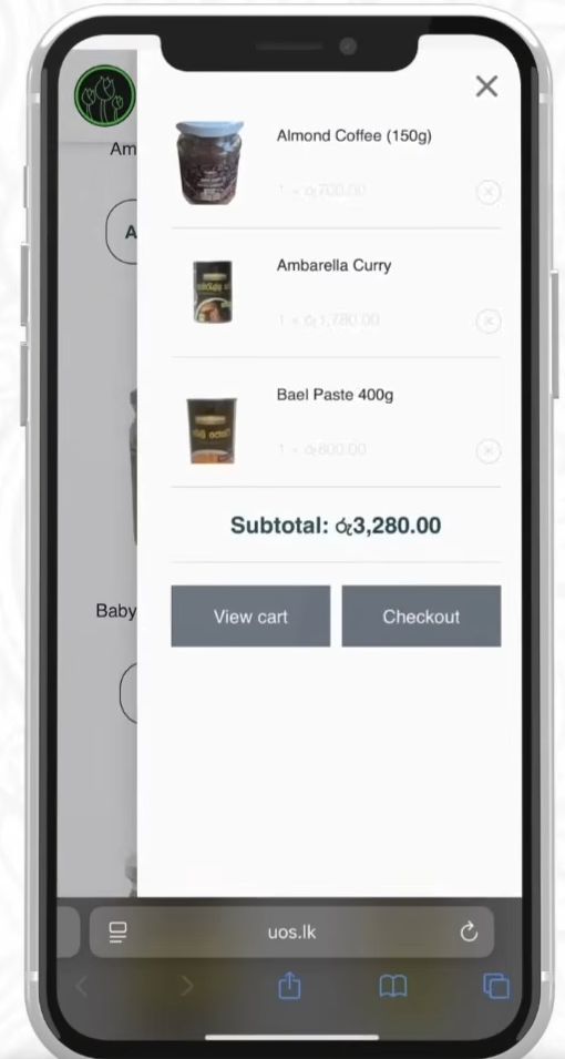 Previous WooCommerce store — navigation